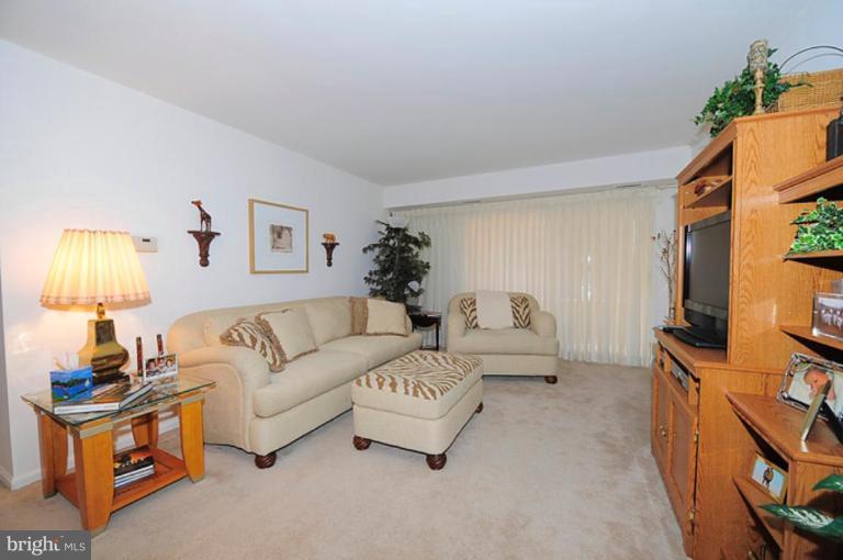 5906 Cove Landing Road, Unit 204 Burke, VA 22015 - Photo 3 of 8 Living Room