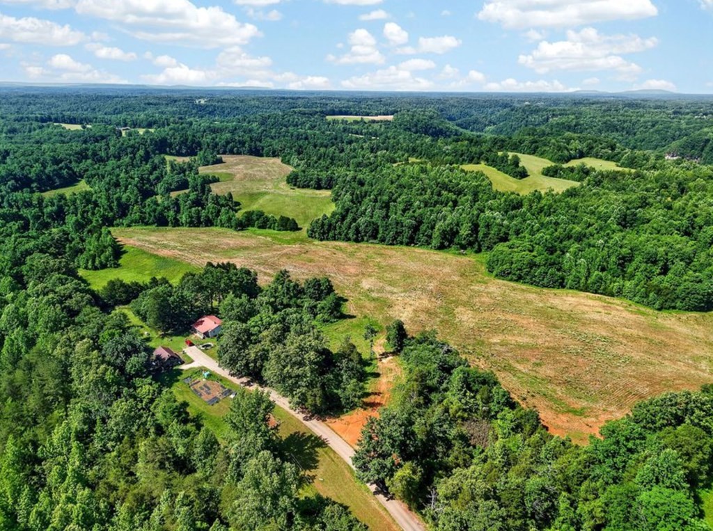 0 Massa Road Baxter, TN 38544 - Photo 5 of 22