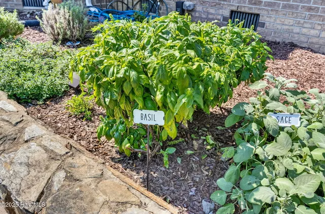 $829,900 | 296 Shoreline Drive, Princeton, NC 27569