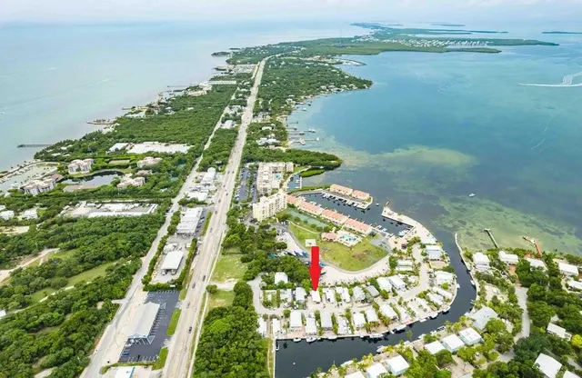 a bird view of a lake