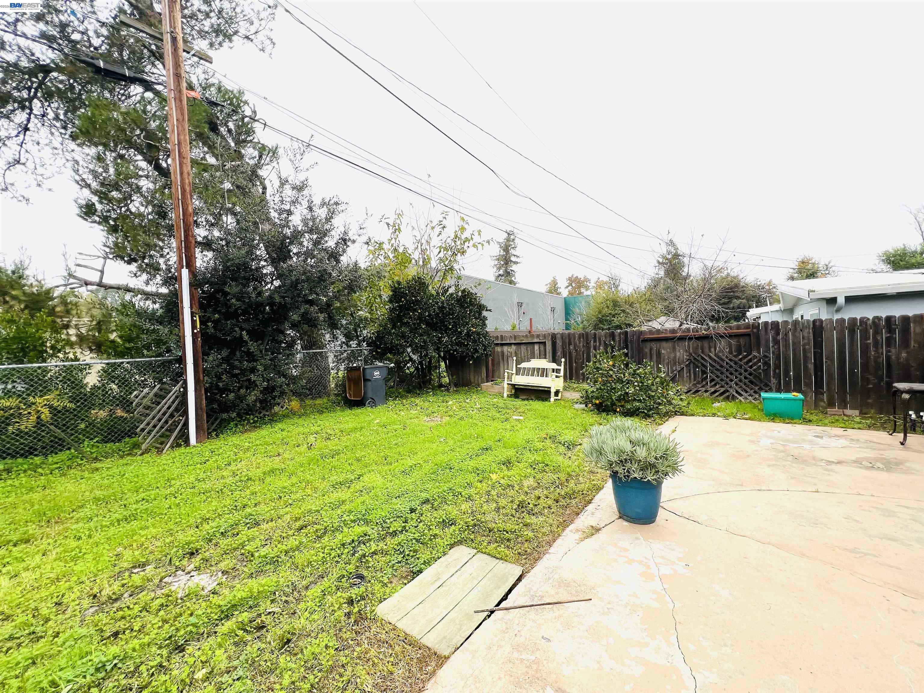 739 M Street Davis, CA 95616 - Photo 14 of 14 a view of a backyard with couches plants and large tree