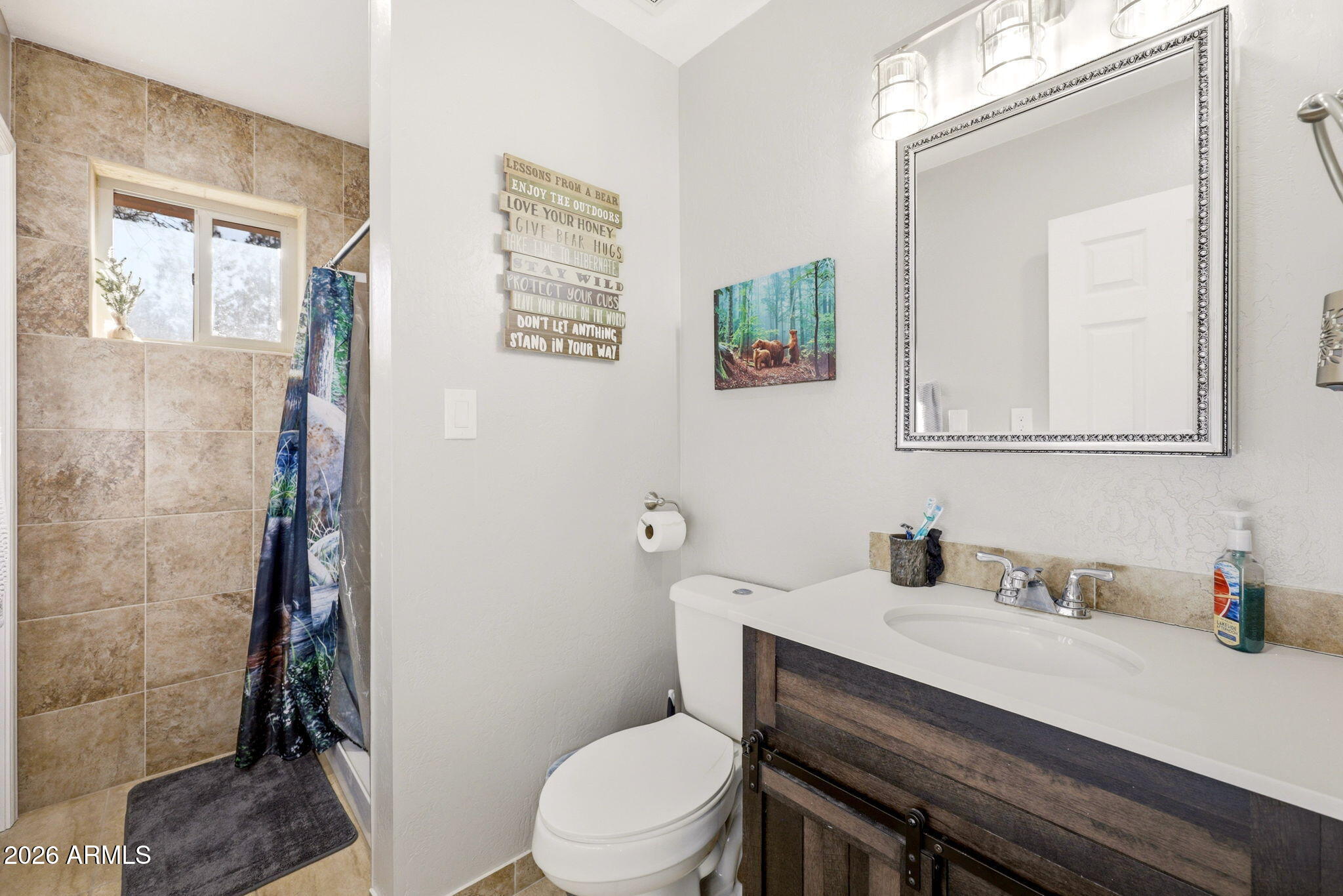 2900 Long Rifle Place Overgaard, AZ 85933 - Photo 18 of 35 a bathroom with a sink a toilet and shower