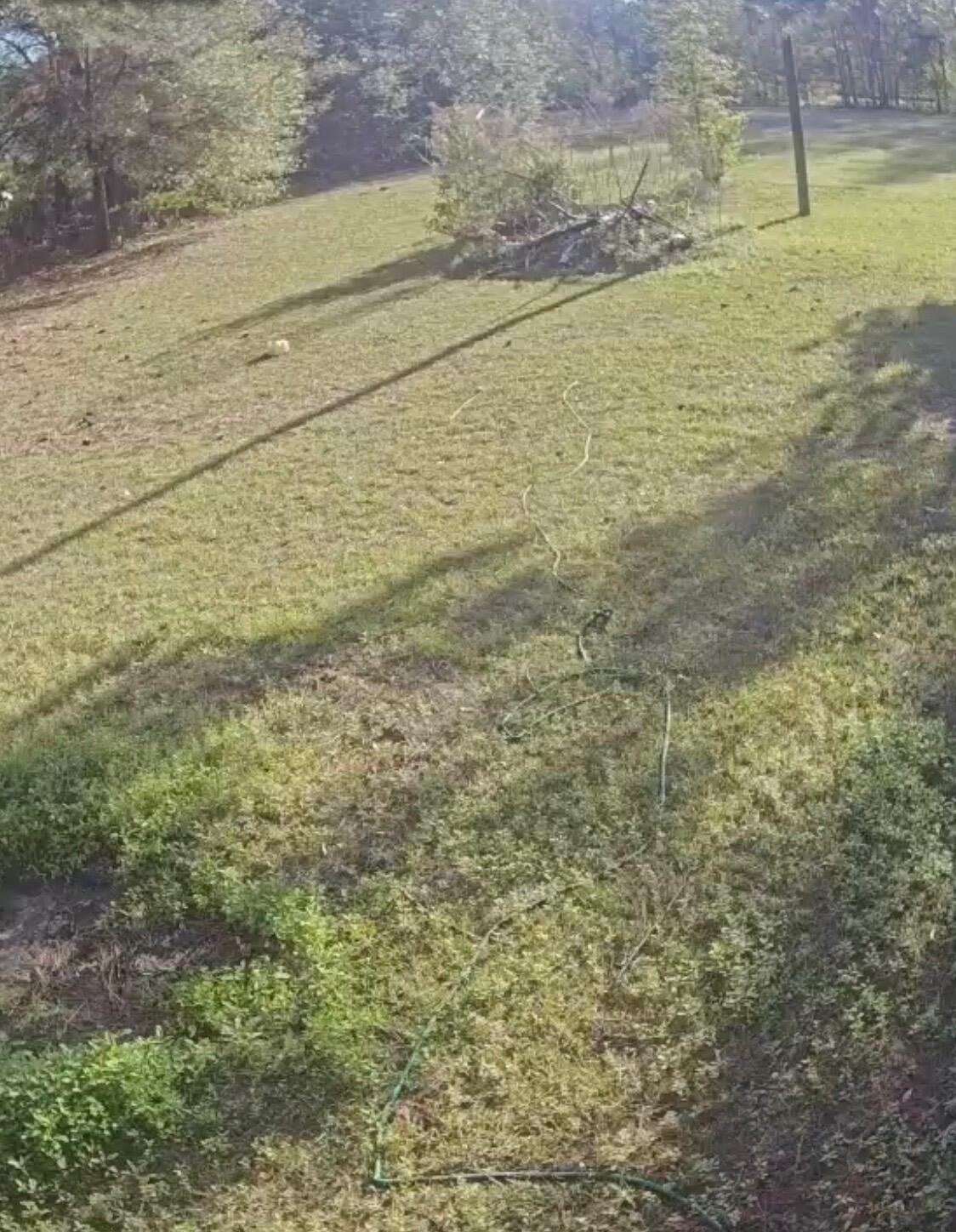 119 Golden Mack Road Latta, SC 29565 - Photo 3 of 8 IMG_1410