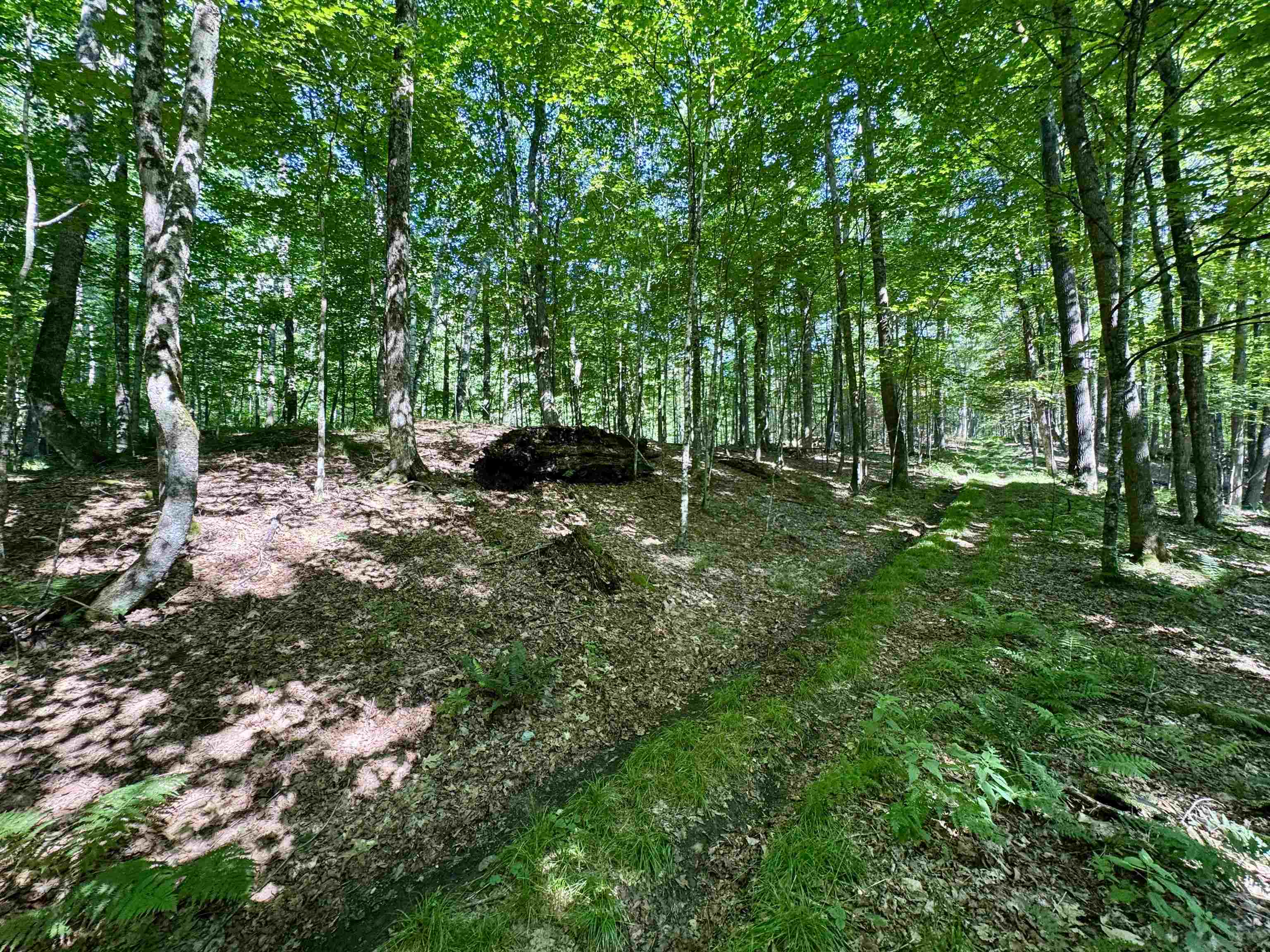 0 Mountain Road Bath, NH 03740 - Photo 2 of 10