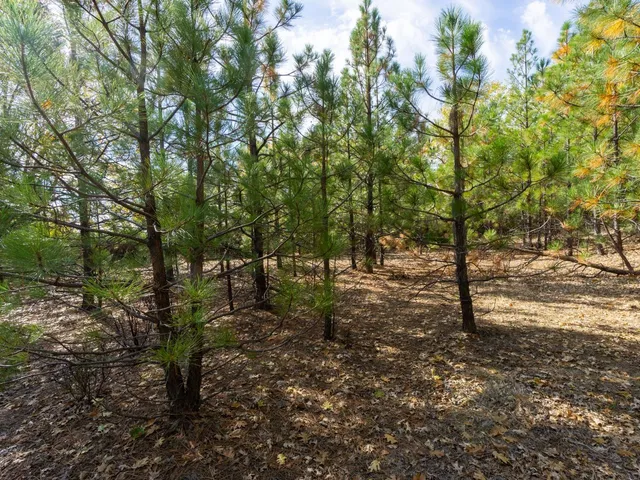 $189,000 | 5031 Anne Louise Lane, Placerville, CA 95667