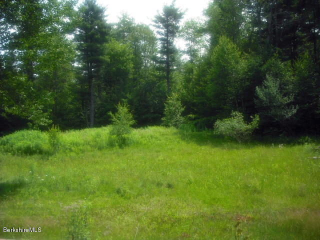 1414 Algerie Road Otis, MA 01029 - Photo 13 of 14 12 Back Yard July 15