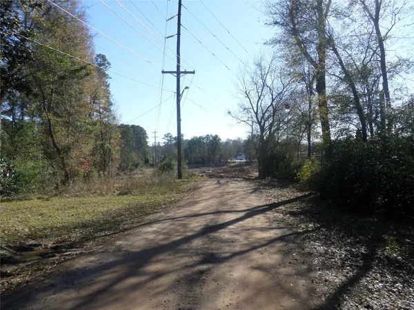a view of a road with a tree