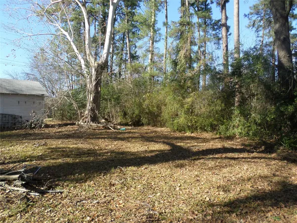 a view of a yard with trees
