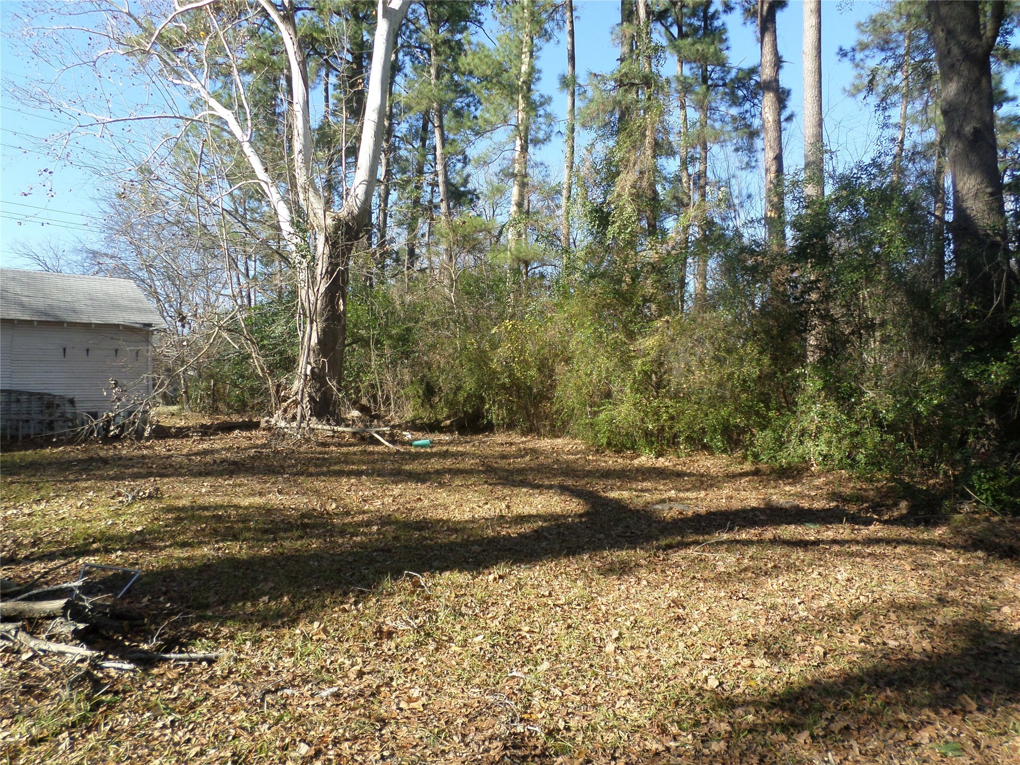 301 South Roberts Street Gilmer, TX 75644 - Photo 8 of 15 a view of a yard with trees