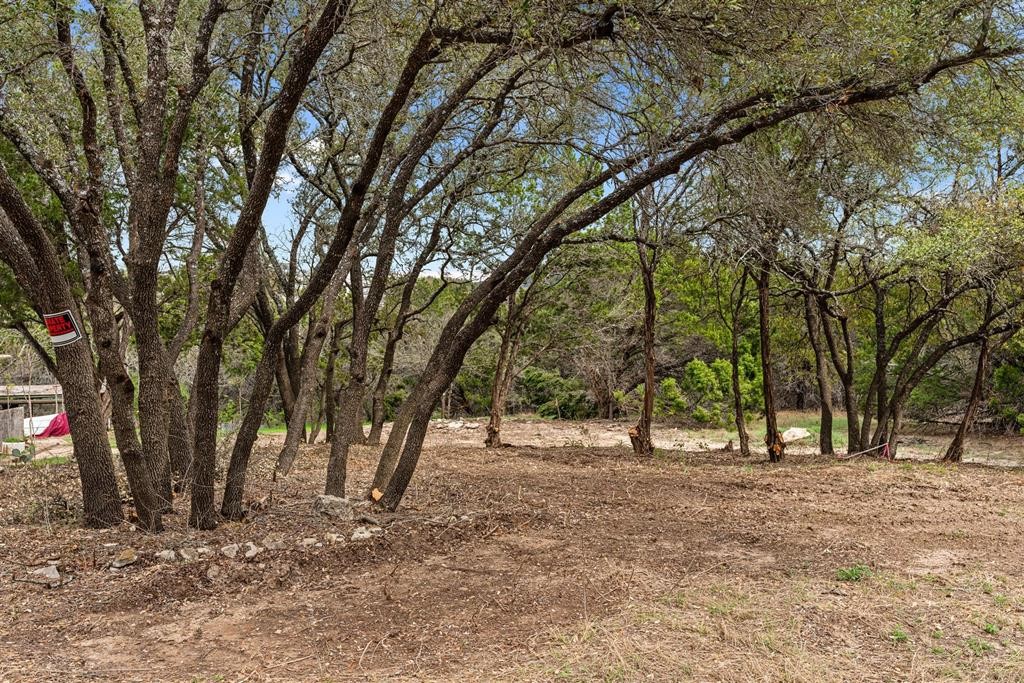 18324 Roundrock Road Jonestown, TX 78645 - Photo 11 of 13