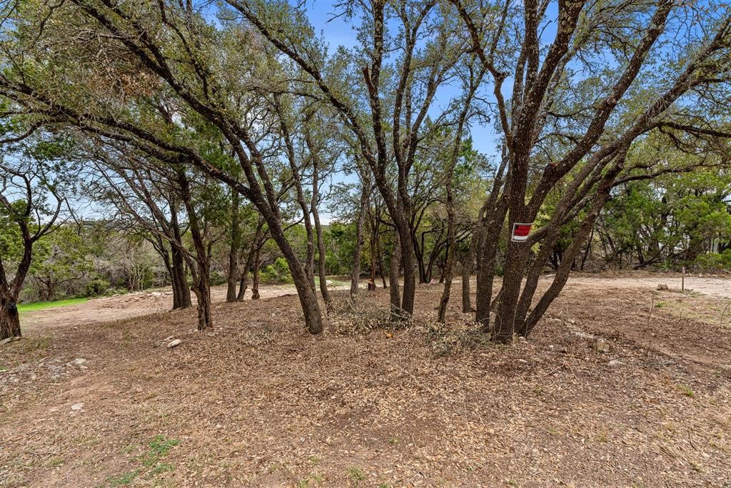 18324 Roundrock Road Jonestown, TX 78645 - Photo 10 of 13