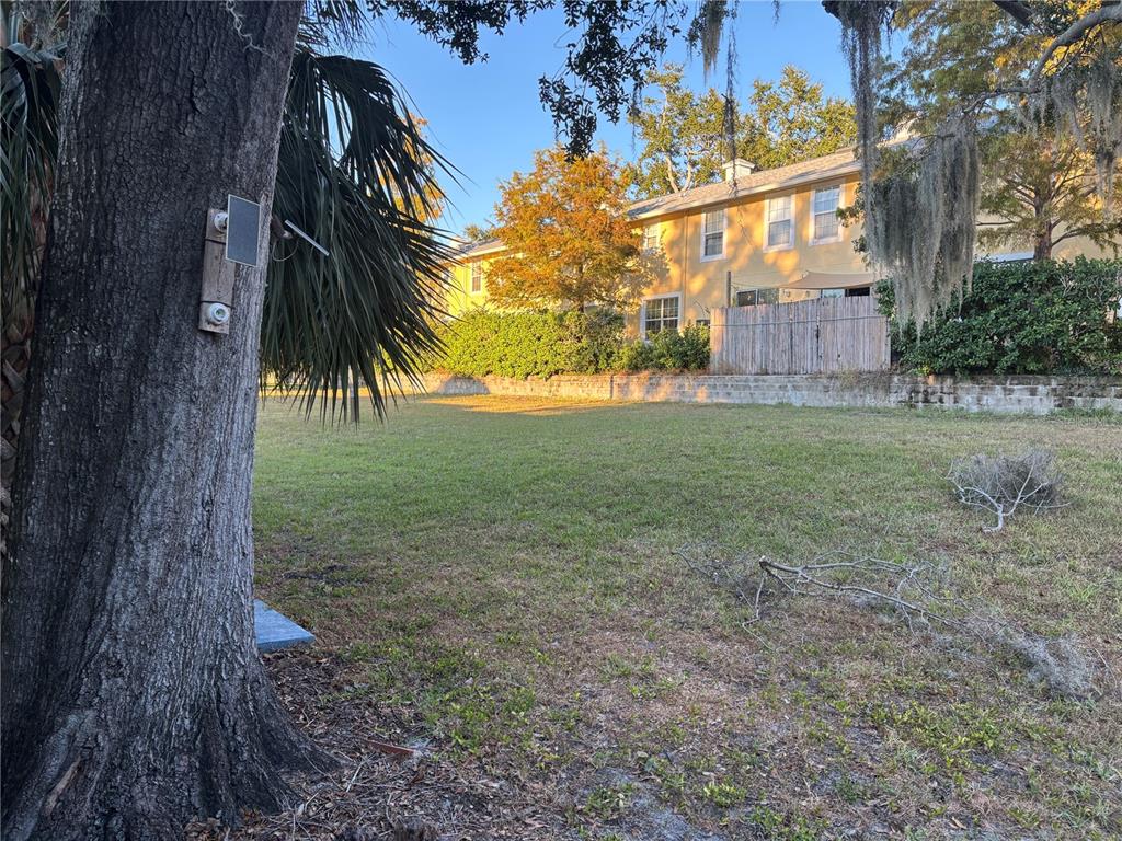 1102 Sunset Point Road, Unit 2 Clearwater, FL 33755 - Photo 17 of 17 a view of a yard with a tree