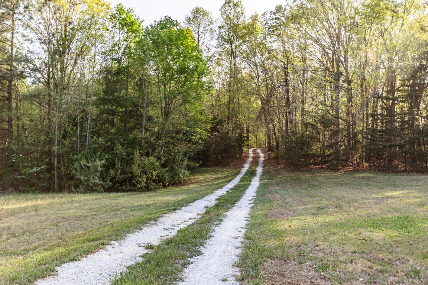278 Salt Lick Lane Appomattox, VA 24522 - Photo 74 of 78 a view of a yard with large trees