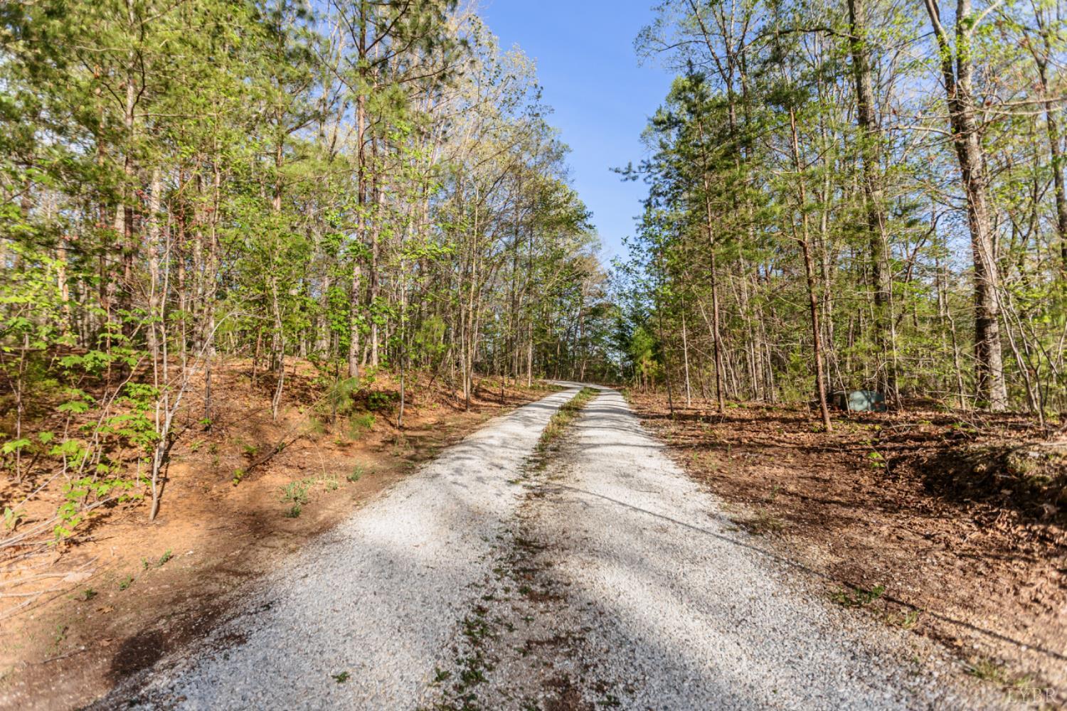 278 Salt Lick Lane Appomattox, VA 24522 - Photo 75 of 78 a view of a yard with large trees