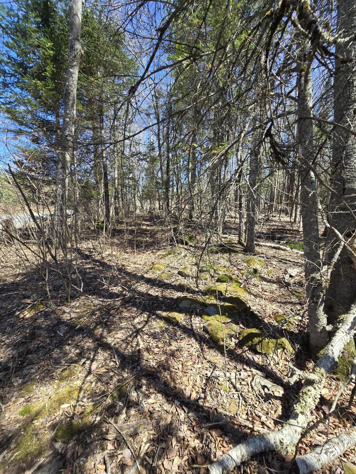 0 Grant Road Sangerville, ME 04479 - Photo 12 of 18 20250501_134444