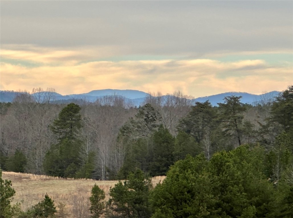 11-acres White Cut Road Walhalla, SC 29691 - Photo 1 of 12 Gallery Image 1