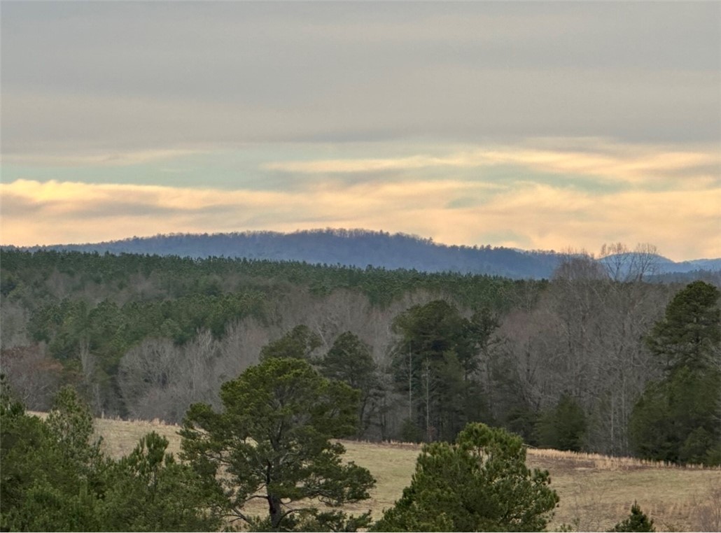 11-acres White Cut Road Walhalla, SC 29691 - Photo 11 of 12 Gallery Image 11