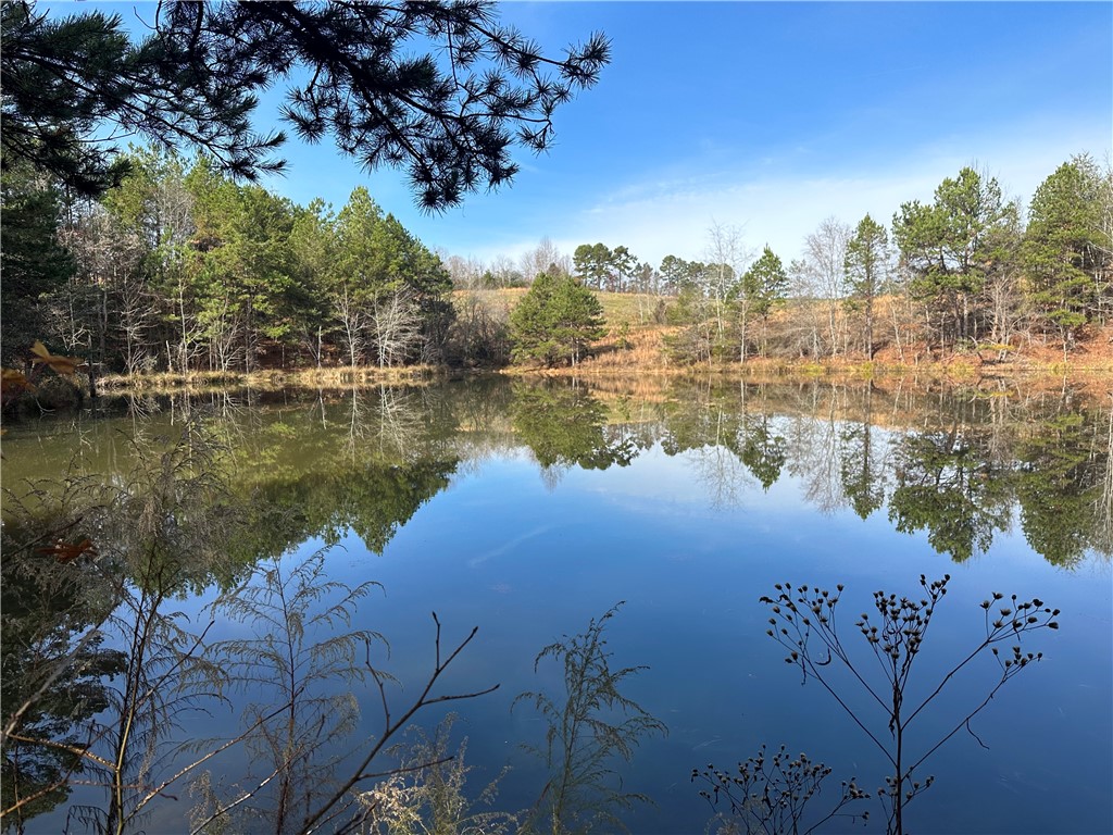 11-acres White Cut Road Walhalla, SC 29691 - Photo 3 of 12 Gallery Image 3