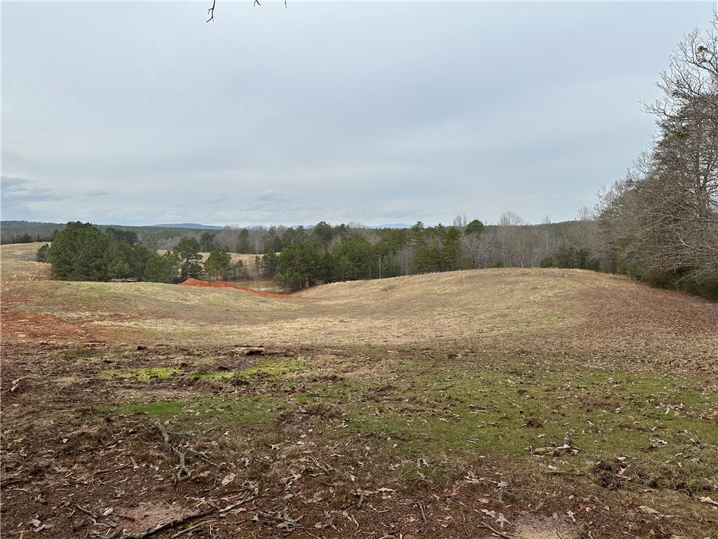 11-acres White Cut Road Walhalla, SC 29691 - Photo 4 of 12 Gallery Image 4