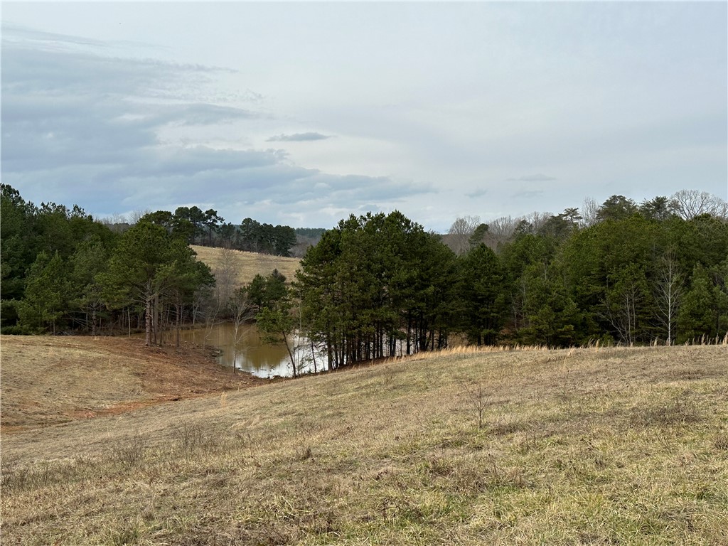 11-acres White Cut Road Walhalla, SC 29691 - Photo 5 of 12 Gallery Image 5