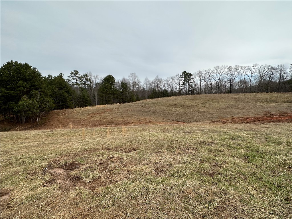 11-acres White Cut Road Walhalla, SC 29691 - Photo 7 of 12 Gallery Image 7