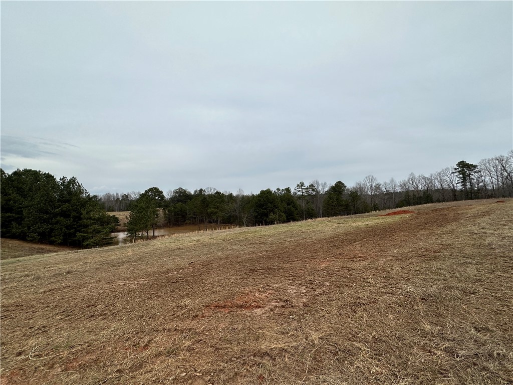 11-acres White Cut Road Walhalla, SC 29691 - Photo 8 of 12 Gallery Image 8