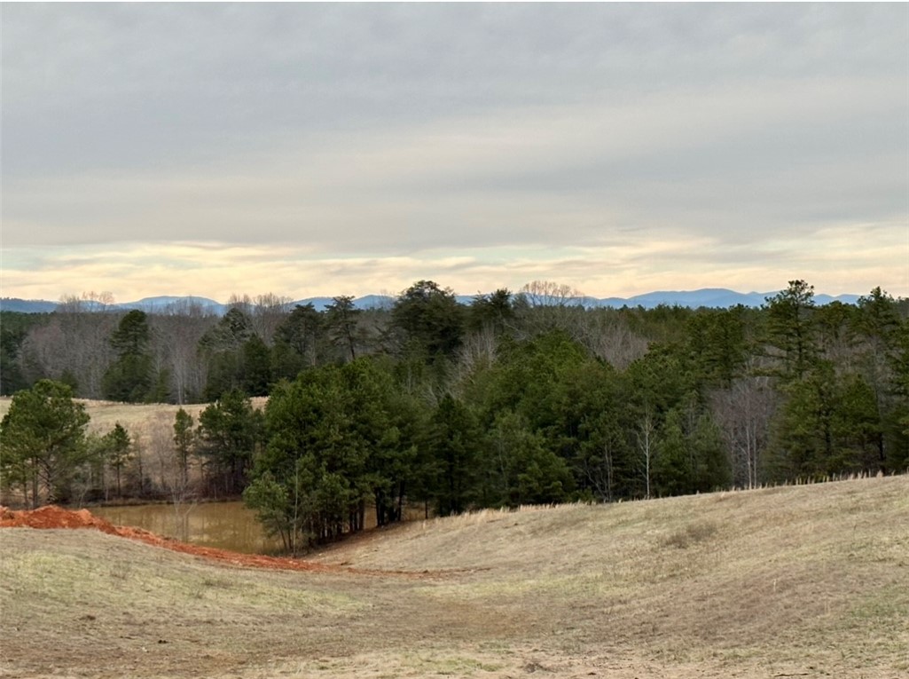 11-acres White Cut Road Walhalla, SC 29691 - Photo 9 of 12 Gallery Image 9