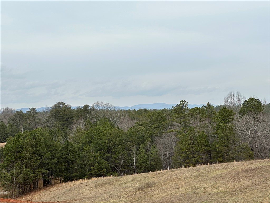 11-acres White Cut Road Walhalla, SC 29691 - Photo 10 of 12 Gallery Image 10
