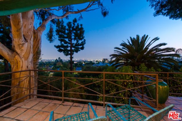 a view of a palm tree with wooden fence