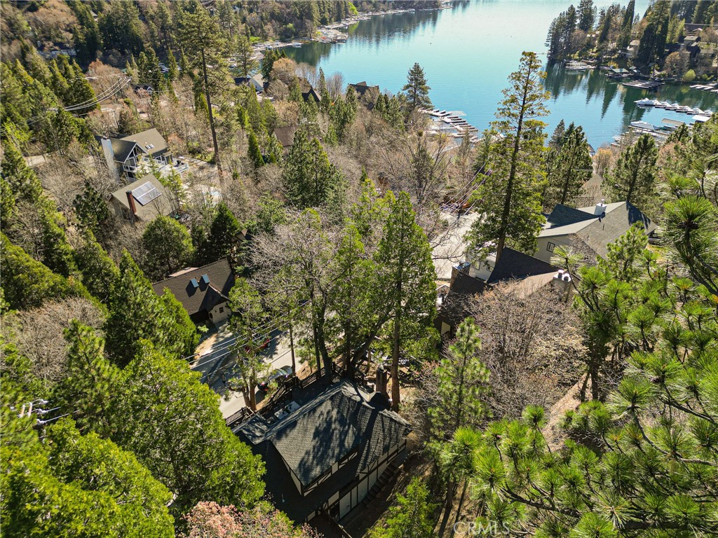 27538 West Shore Road Lake Arrowhead, CA 92352 - Photo 40 of 44