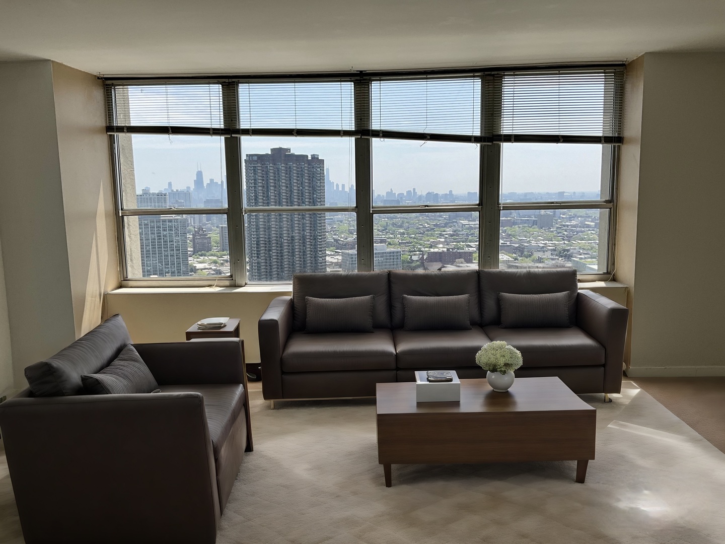 655 West Irving Park Road, Unit 3809 Chicago, IL 60613 - Photo 3 of 37