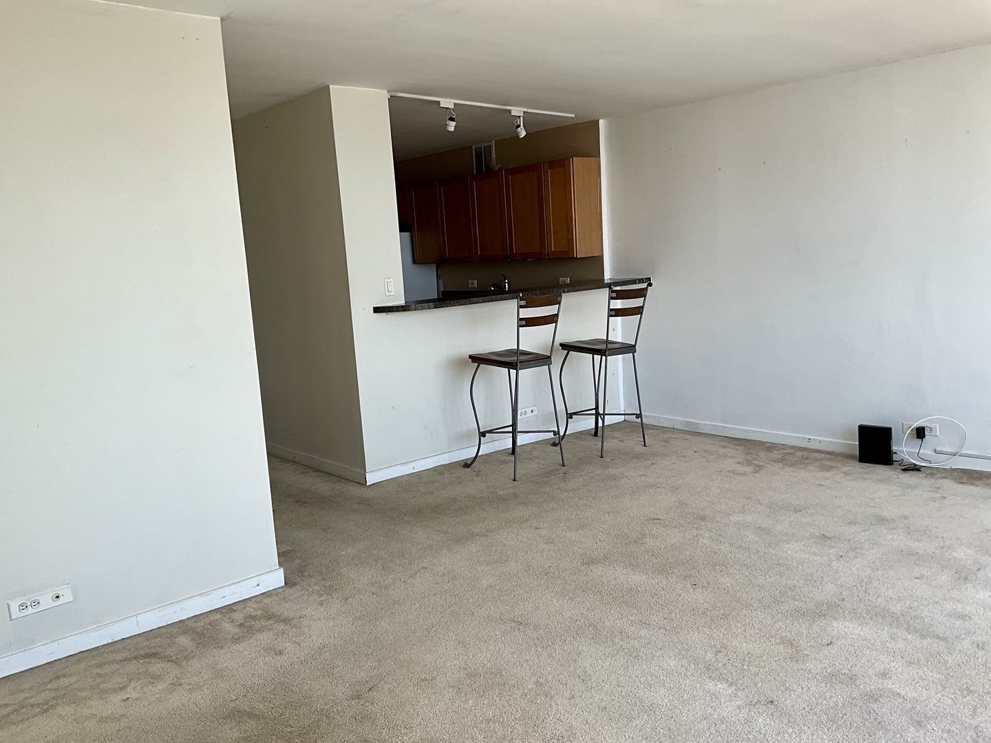 655 West Irving Park Road, Unit 3809 Chicago, IL 60613 - Photo 9 of 37