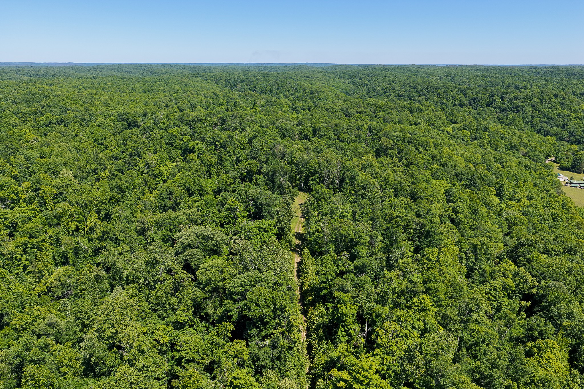 0 Mayberry Prong Road Linden, TN 37096 - Photo 20 of 24