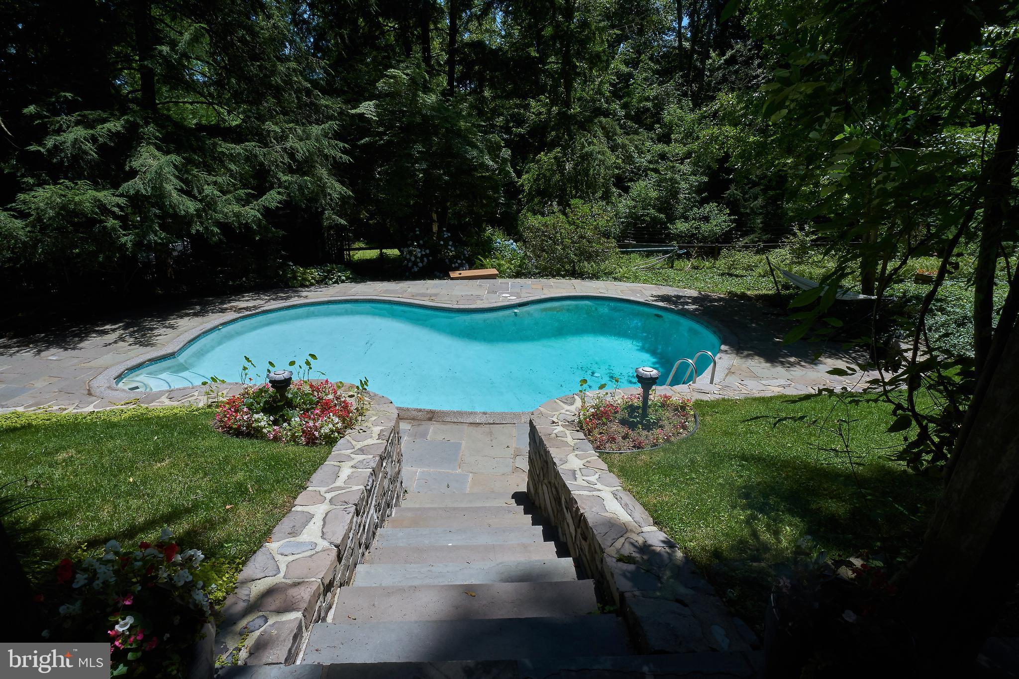 2918 Mill Road Doylestown, PA 18902 - Photo 22 of 28 View from pool/guest house