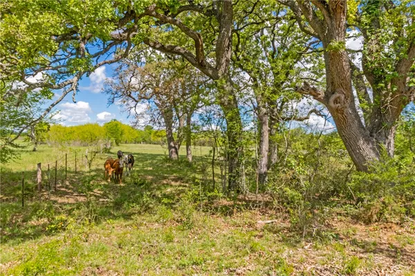 $620,000 | 197 County Road 268, Cameron, TX 76520
