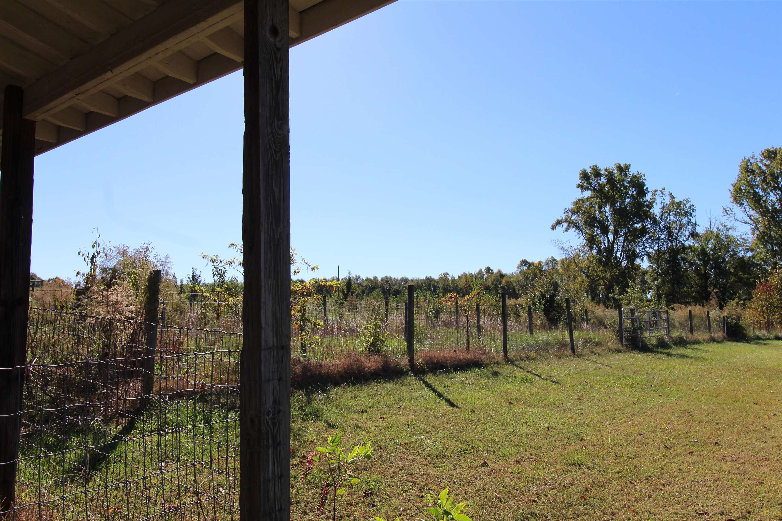 351 Smith Wall Road Chesnee, SC 29323 - Photo 47 of 50