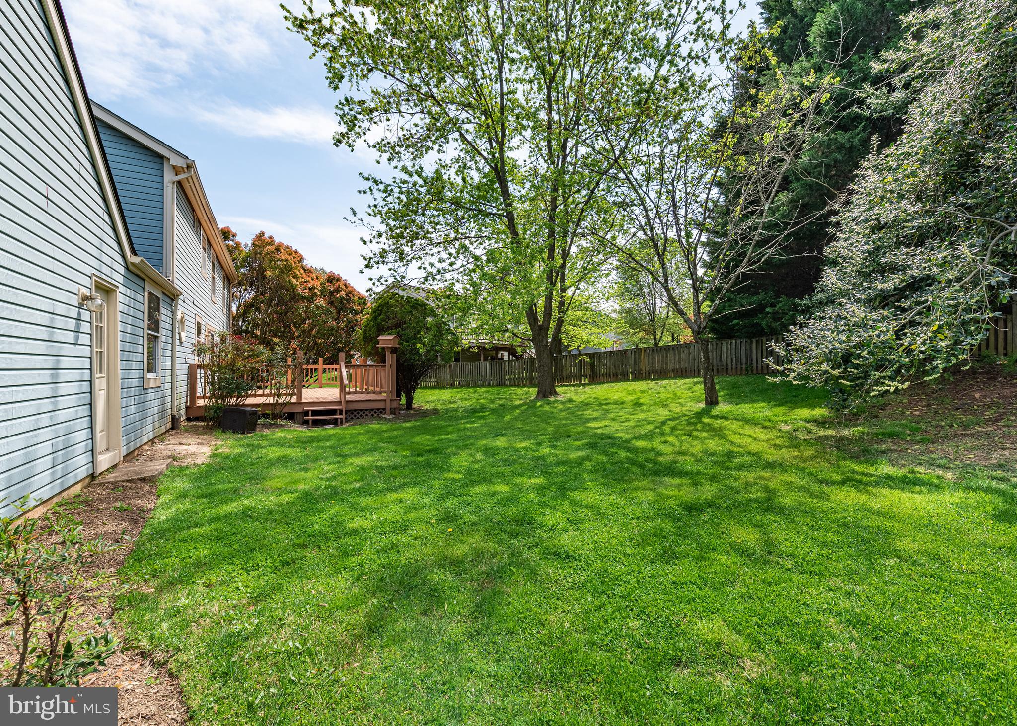 14454 Twig Road Silver Spring, MD 20905 - Photo 4 of 41