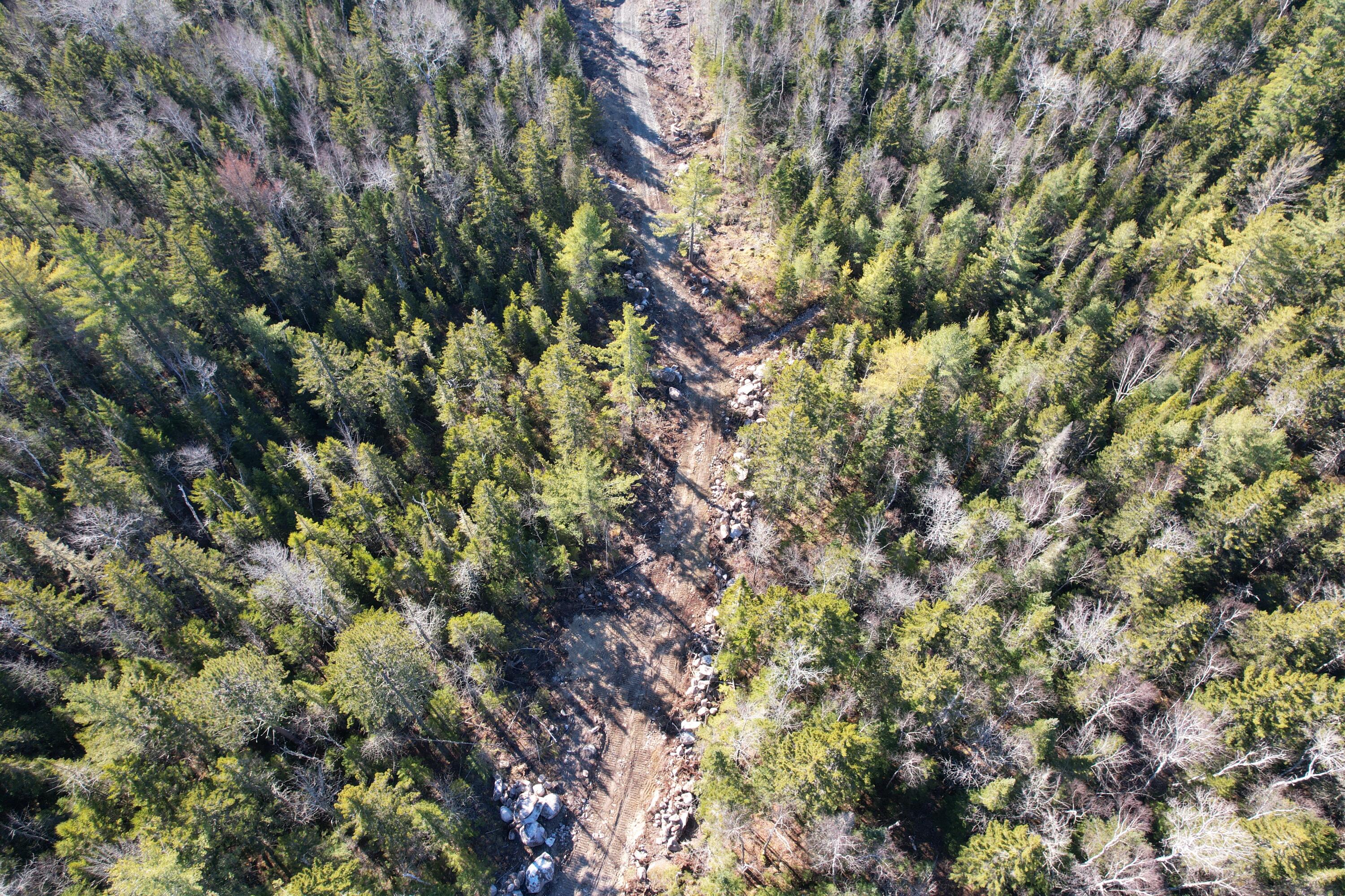 Lot 31-2 Bemis Road Oquossoc, ME 04964 - Photo 18 of 22 driveway