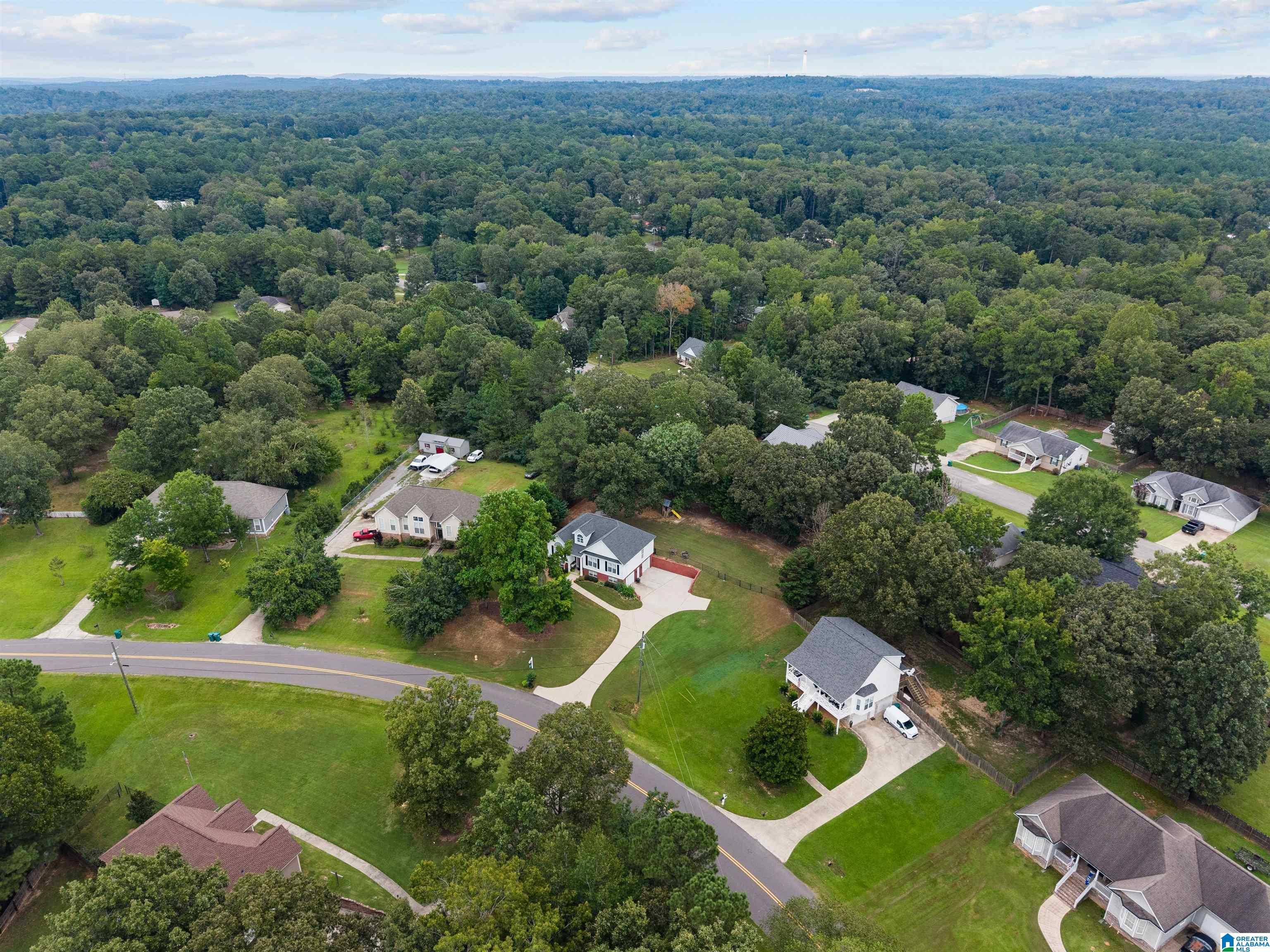 20449 Hepzibah Church Road McCalla, AL 35111 - Photo 29 of 34