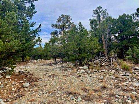 Mill Run Road Mosca, CO 81146 - Photo 2 of 12 a view of a tree with a yard