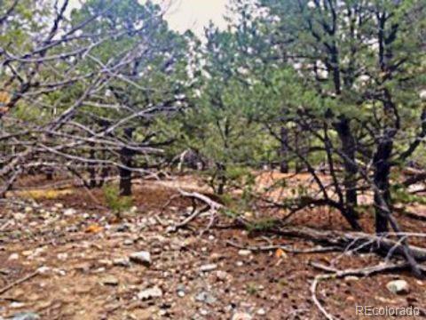 Mill Run Road Mosca, CO 81146 - Photo 3 of 12 a picture of tree