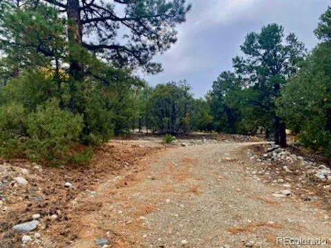 a view of backyard with green space