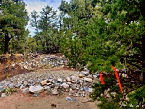 Mill Run Road Mosca, CO 81146 - Photo 6 of 12