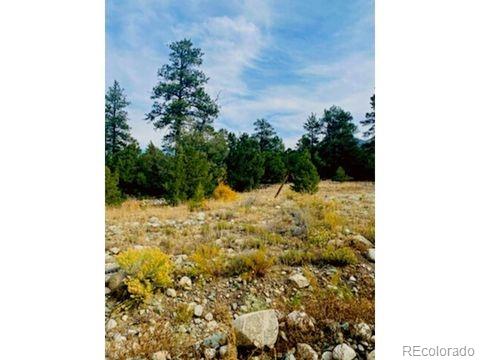 Mill Run Road Mosca, CO 81146 - Photo 7 of 12 a view of small yard