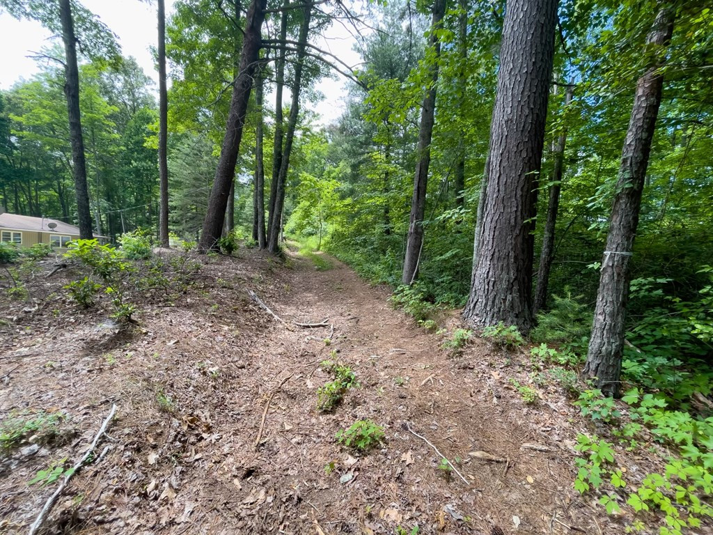 7.91 Prince Road Murphy, NC 28906 - Photo 21 of 41