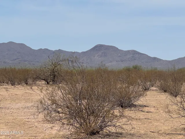 a view of a dry yard with mountains in the background