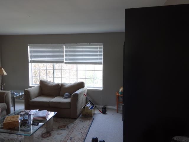 421 Baldwin Avenue Rochester, MI 48307 - Photo 4 of 10 31201691-3.JPG