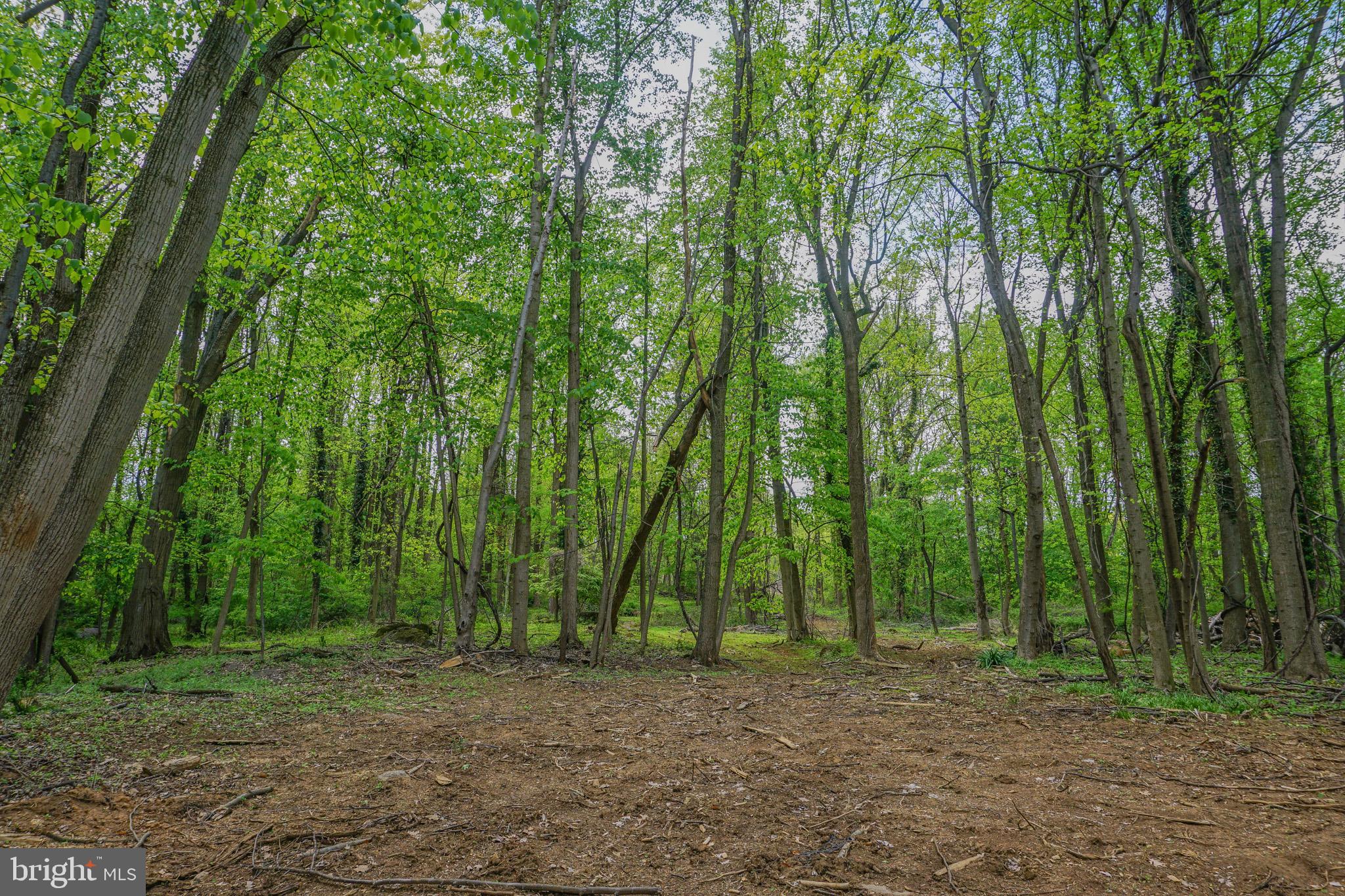 0 Old York Road New Cumberland, PA 17070 - Photo 11 of 38 Gallery Image 11