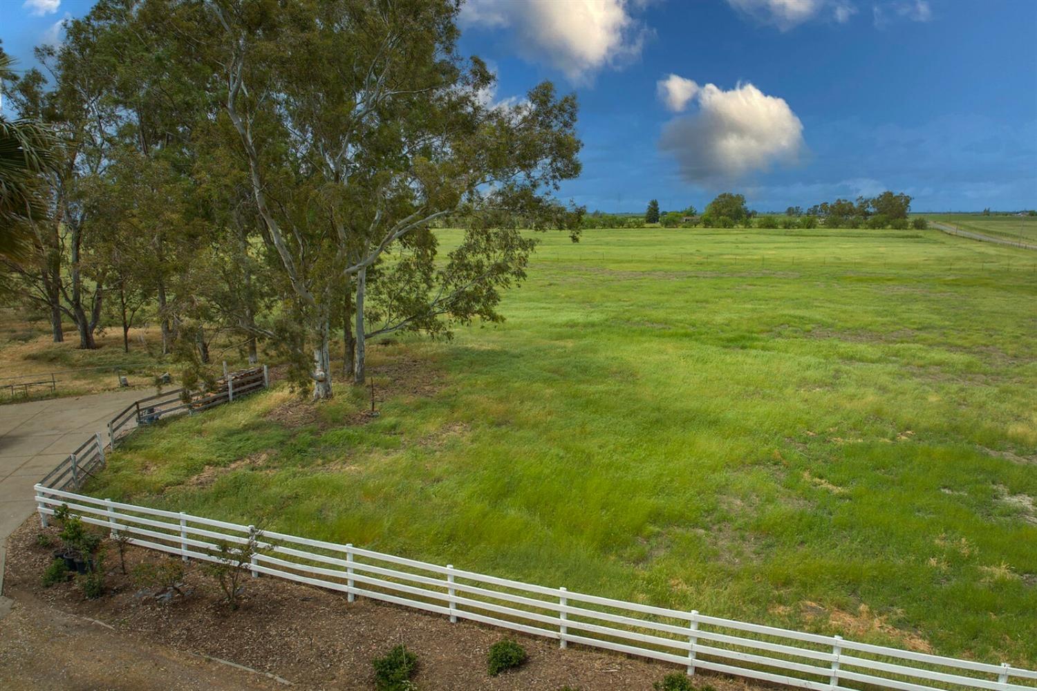 4427 East Catlett Road Lincoln, CA 95648 - Photo 49 of 51 a view of a yard