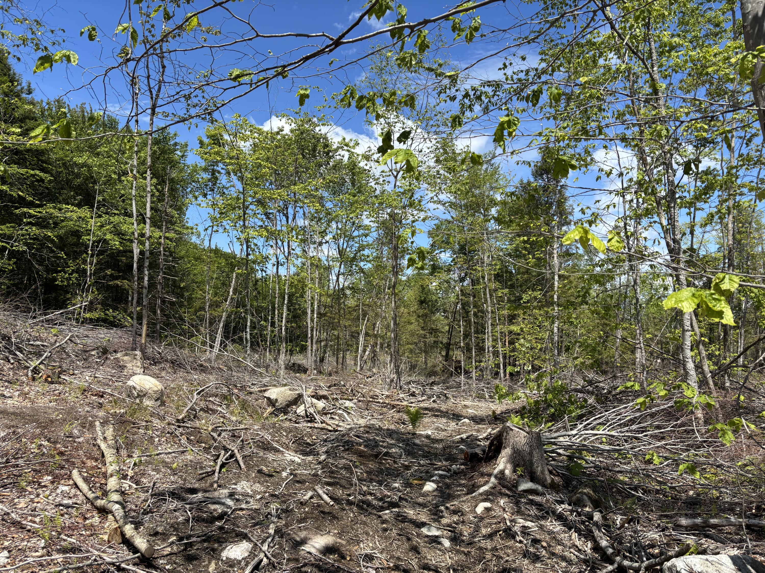 2-l 1 Off Bean Road Mercer, ME 04957 - Photo 4 of 14 IMG_2363